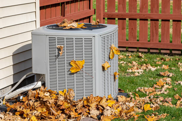 Best Residential HVAC Services  in Luna Pier, MI